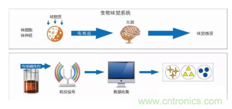 仿生傳感器的定義、原理、分類及應用